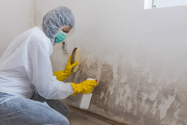 Best Mold Prevention Services  in Parachute, CO