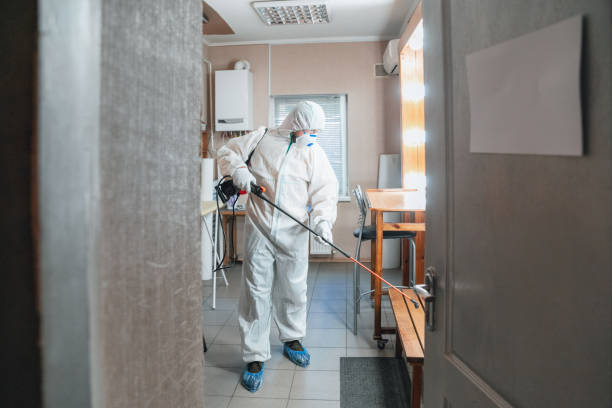 Professional Mold Removal in Parachute, CO