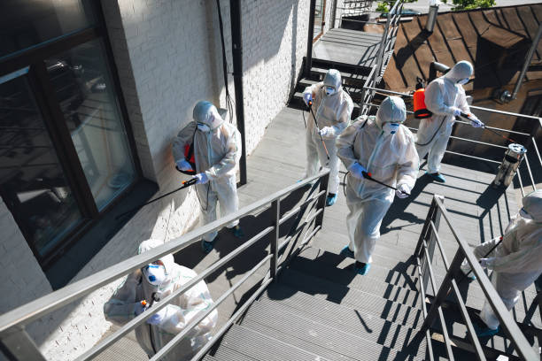Best Residential Mold Inspection & Testing  in Parachute, CO