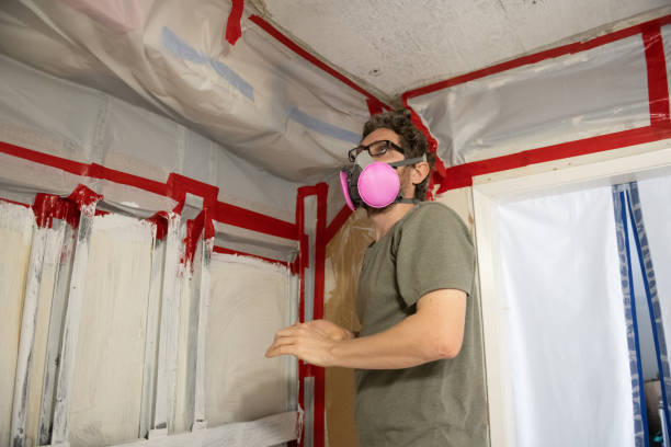 Best Mold Odor Removal Services  in Parachute, CO
