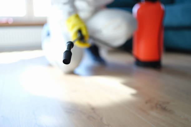 Best Dehumidification Services  in Parachute, CO