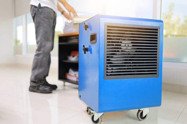 Best Mold Damage Restoration  in Parachute, CO