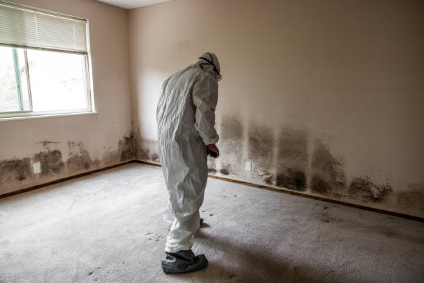 Best Industrial Mold Remediation  in Parachute, CO